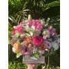 Box Domenica - Image 2