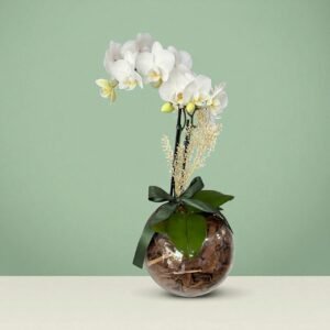 Orquídea branca no vaso de vidro!