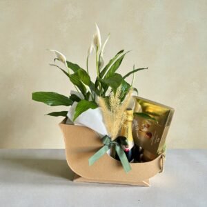 Trenó Natal Celebração espumante e chocolates