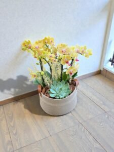 Orquídeas Amarelas no Cachepô Rústico