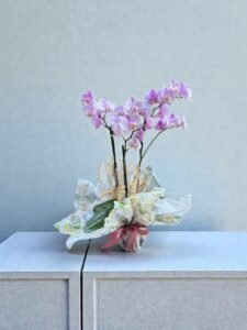 Orquídeas Lilás Embalagem para presente.