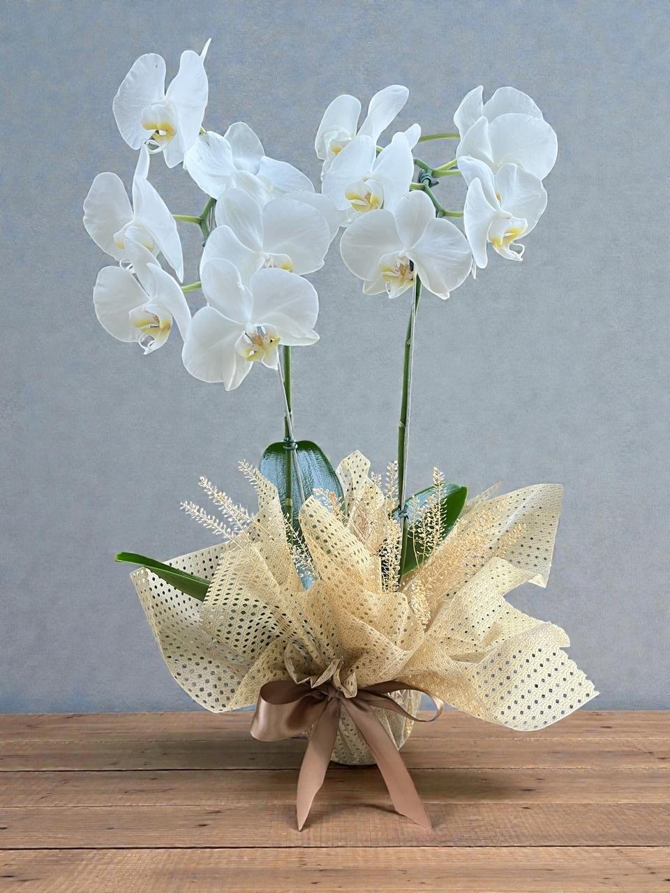 Orquídeas Branca Duas Hastes - Image 2