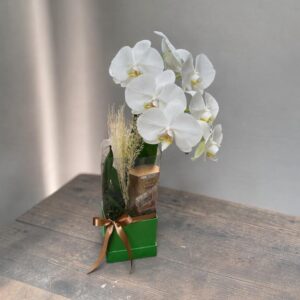 Box Elegância Orquídea.