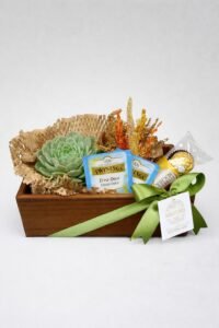 Wood Suculenta e Ferrero Rocher