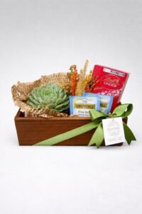 Wood Suculenta e Chocolate Lindt ao Leite