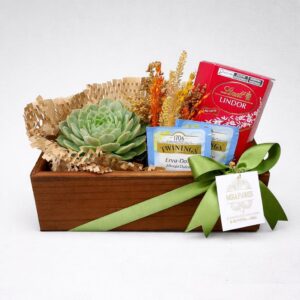 Wood Suculenta e Chocolate Lindt ao Leite