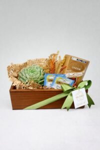 Wood Suculenta Lindt Sortido e Chá