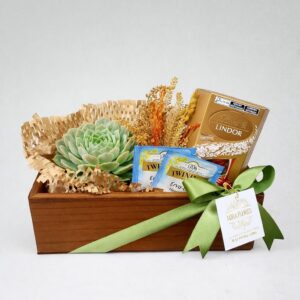 Wood Suculenta Lindt Sortido e Chá