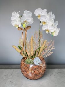 Orquídea Branca no Aquário Grande