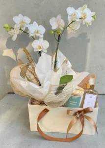 Orquídea Grande Com Aromas