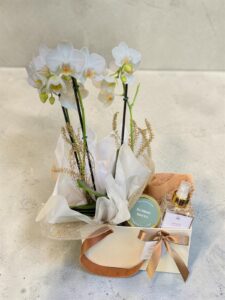 Orquídea Mide com Aromas