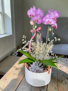 Orquídea Rose Rústica