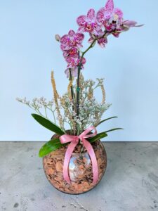 Orquídea no Aquário