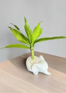 Bambu Mimo Elefante