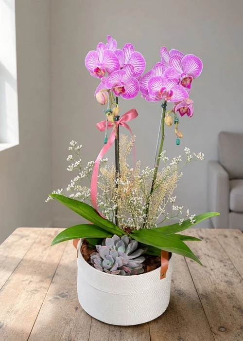 Orquídea Rosê Rústica