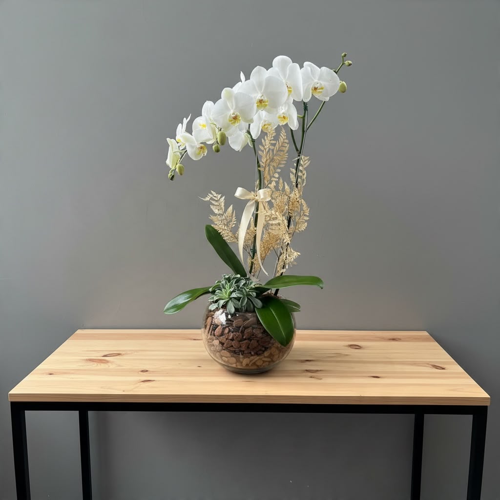 Orquídea no Aquário Alta 65