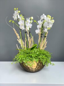Elegância Atemporal