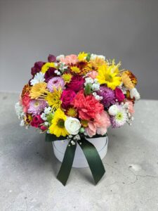 Box Colors