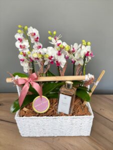 Cesta com Aromas Cherry
