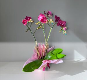 Pink Elegance