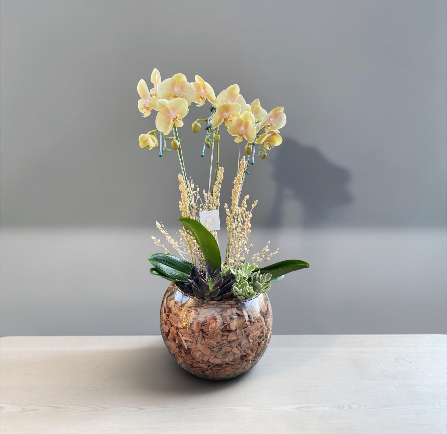 Orquídea Amarelo Suave